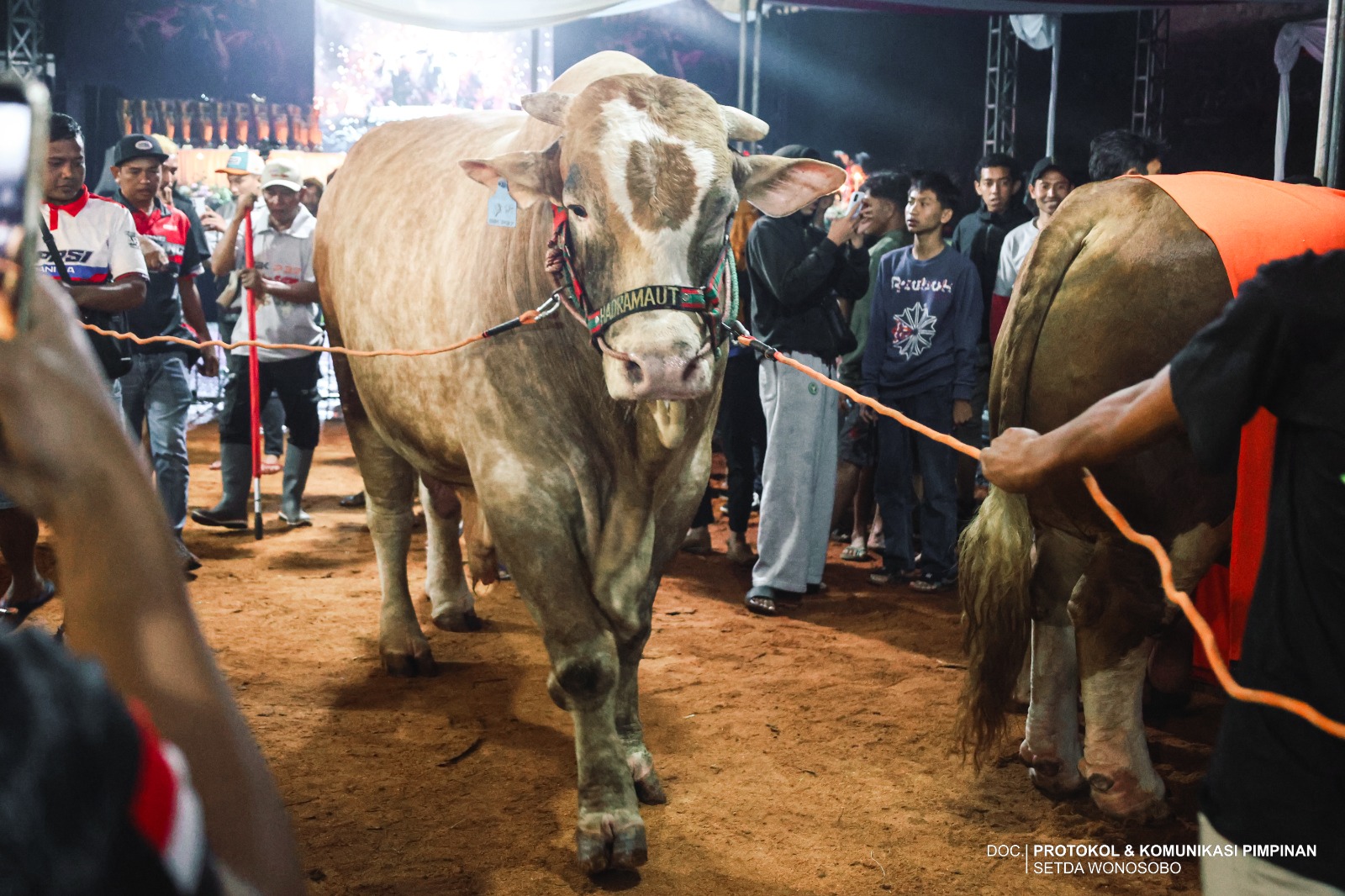 69eece21a8220_WhatsApp Image 2026-04-27 at 08.20.42 (2).jpeg