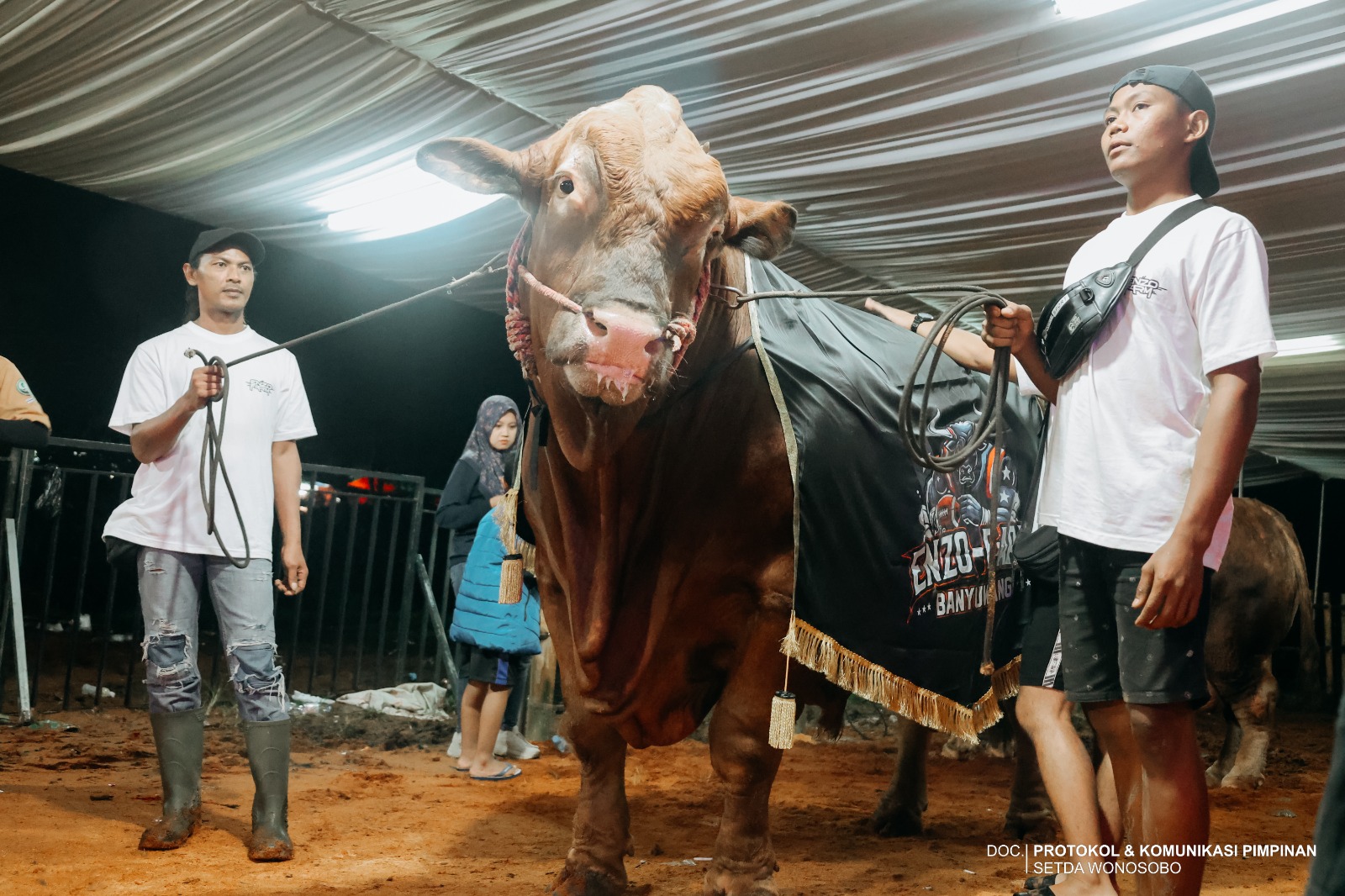 69eece21b8961_WhatsApp Image 2026-04-27 at 08.20.42 (3).jpeg